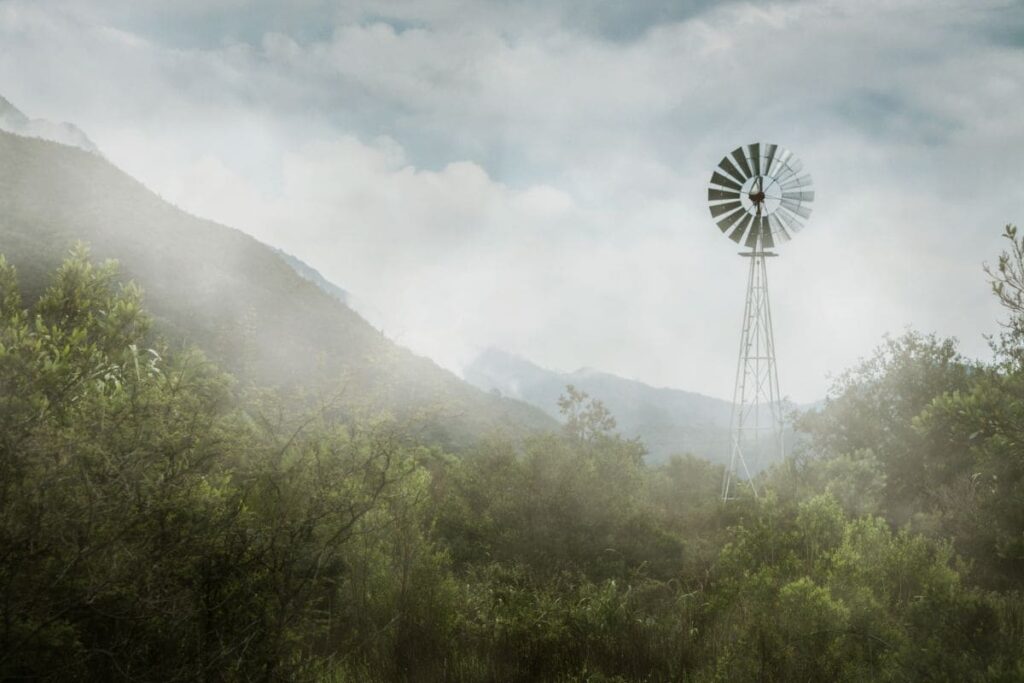 Bereite dich auf Nebel-Fotos vor, indem du in Wetterapps schaust, um zu wissen, wann Nebelwetter für die Fotografie auftaucht | C-Rope Kamerazubehör