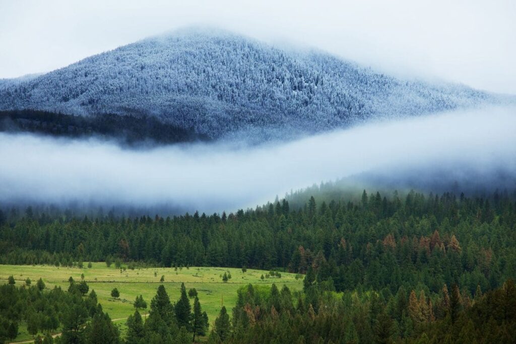 Der Hochnebel ist am einfachsten zu fotografieren, wenn du mit deiner Kamera auf einem Berg bist, um das perfekte Nebelbild aufzunehmen | C-Rope Kamerazubehör