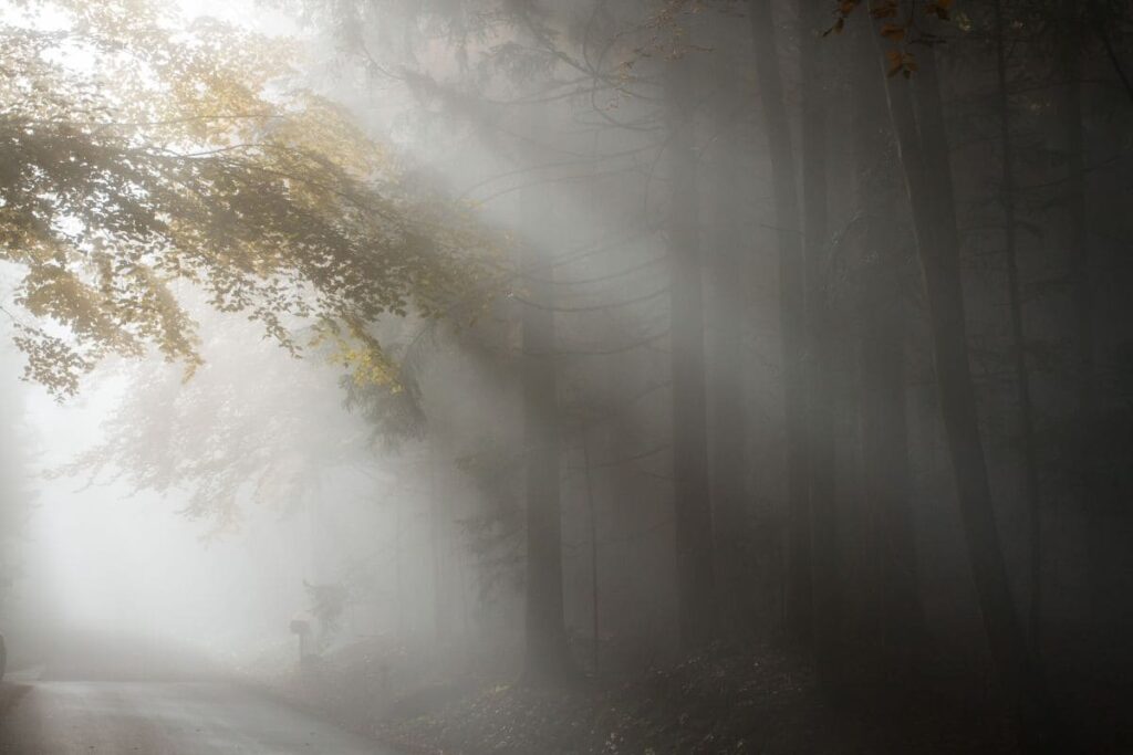 Nebel mit Sonnenstrahlen ist immer ein Foto Motiv wert, das mit deiner Kamera fotografiert werden sollte | C-Rope Kamerazubehör