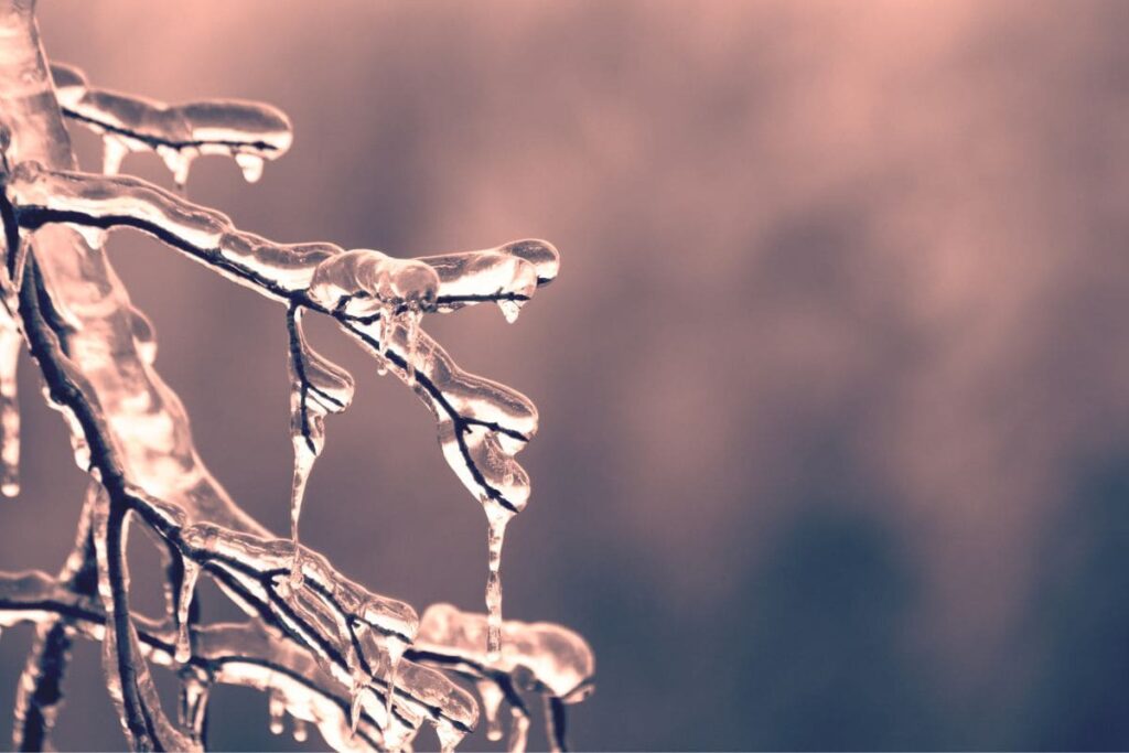 In der Winterfotografie lohnt es sich, einfach rauszugehen und den Schnee auf sich wirken zu lassen | C-Rope Kamerazubehör