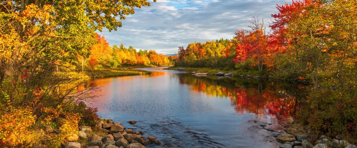 Herbst fotografieren: Fluss mit buntem Herbstlaub, das sich im Wasser spiegelt